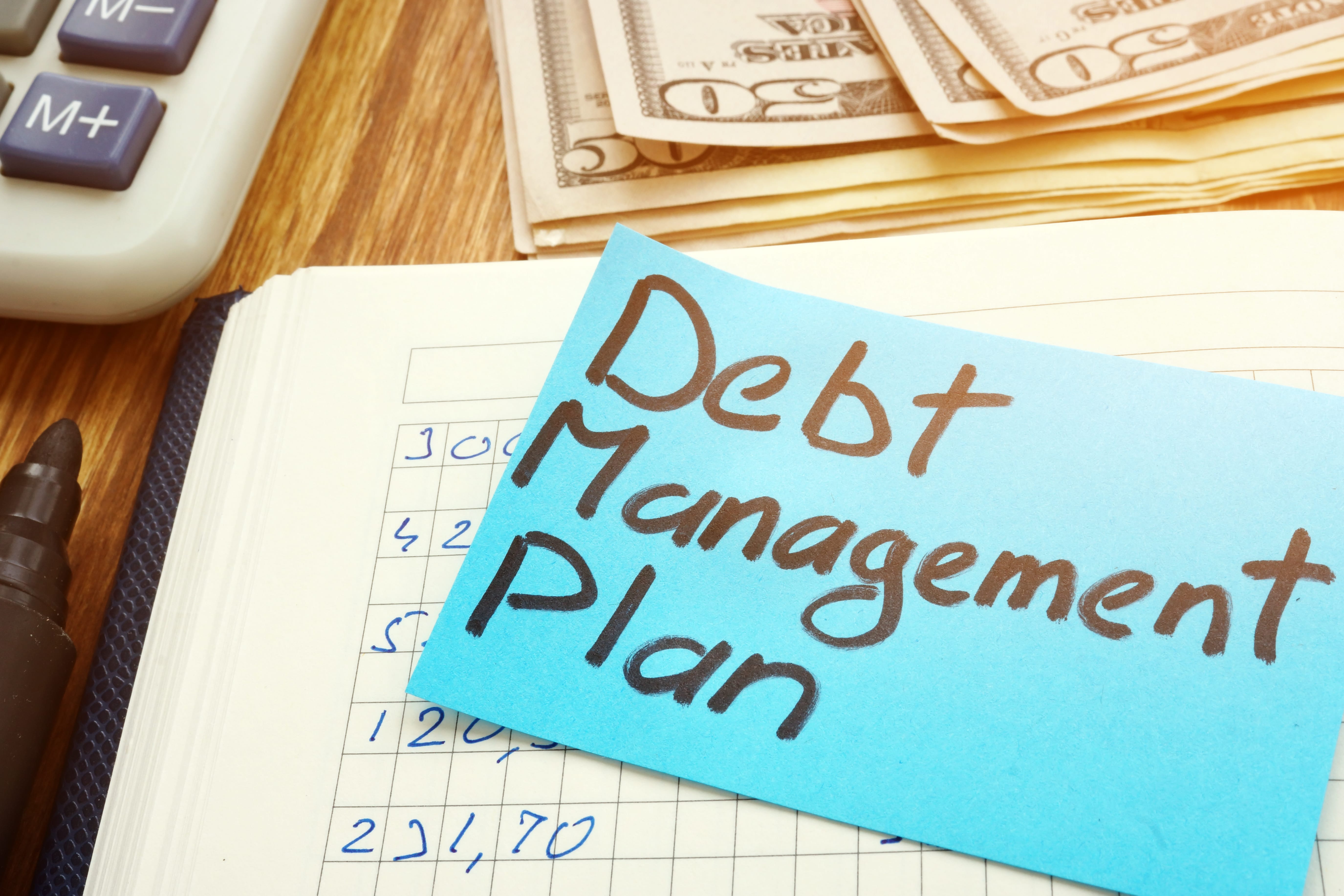 debt management plan for businesses