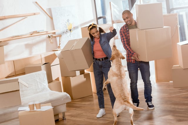 The ultimate guide to your first apartment.