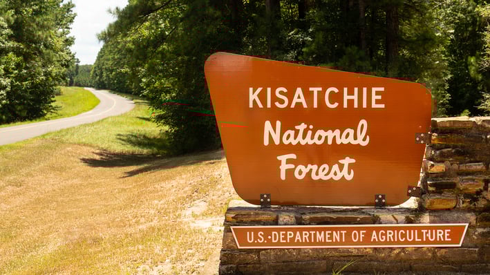 Kisatchie Ranger District Wilderness Area