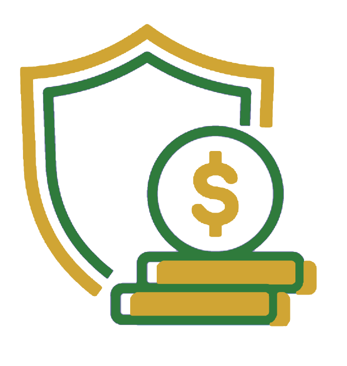 money shield icon