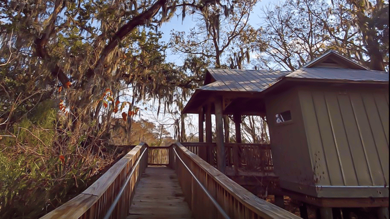 Palmetto Island State Park camping louisiana-1