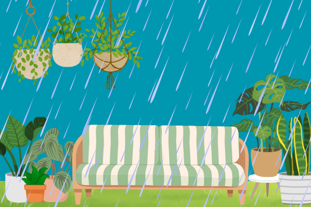 How to prepare your garden and landscaping for a hurricane
