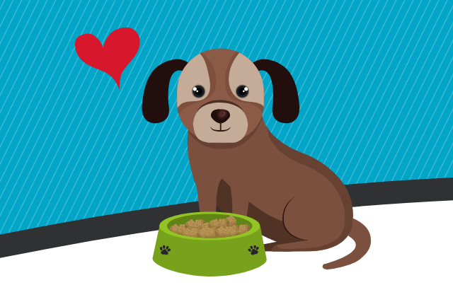 Infographic: The real cost of raising a pet